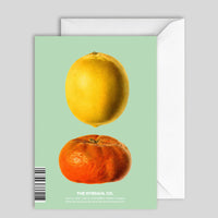 Greeeting Card Citrus